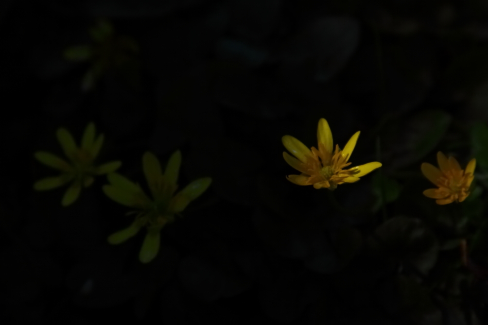 2012 04 04 9999 137